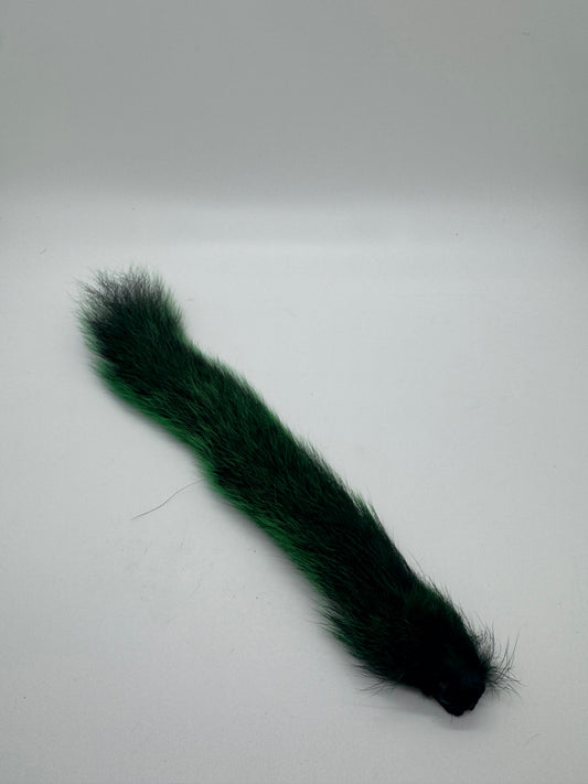 Squirrel Tail