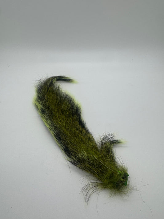 Squirrel Tail