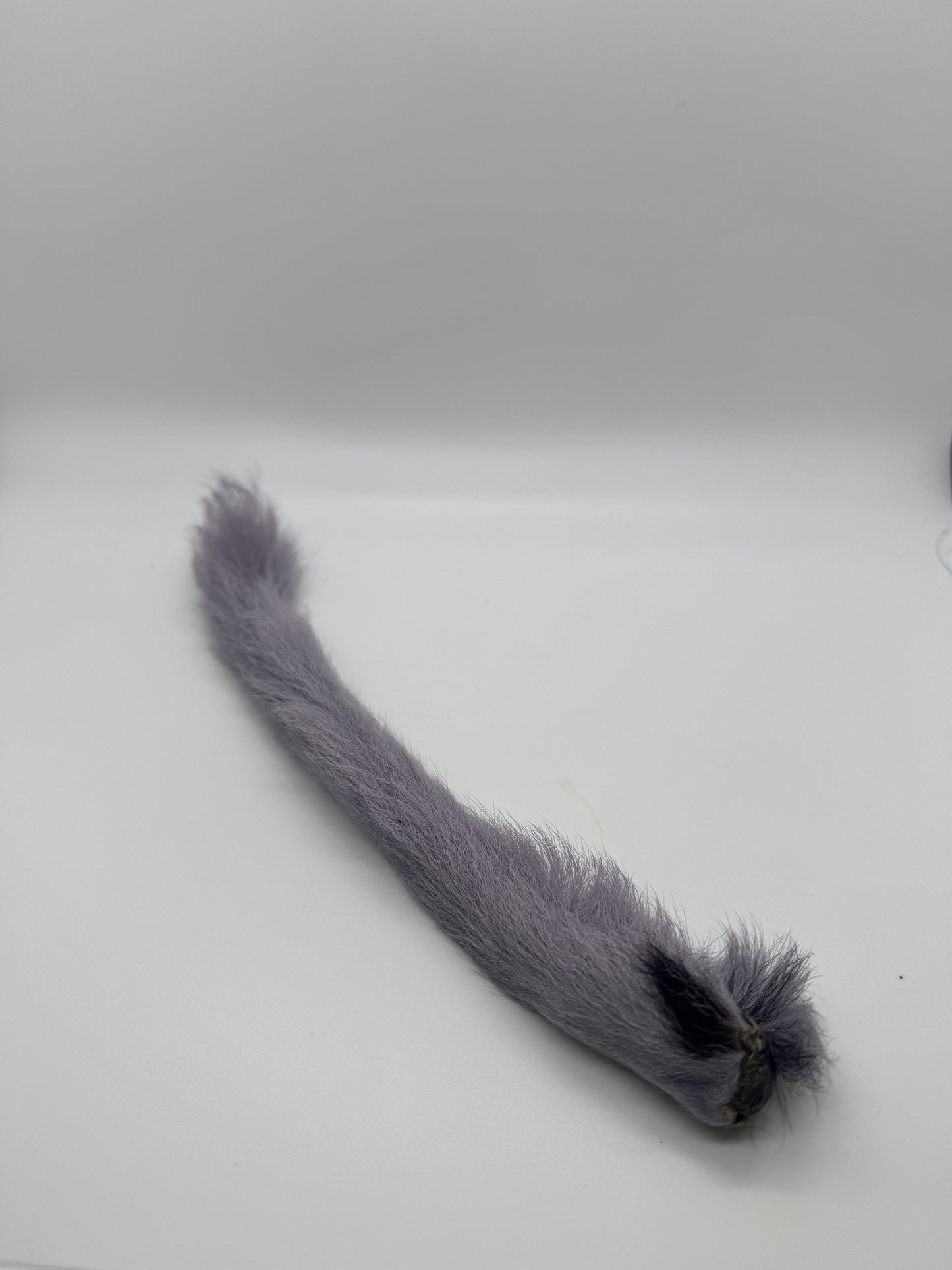 Kiptail