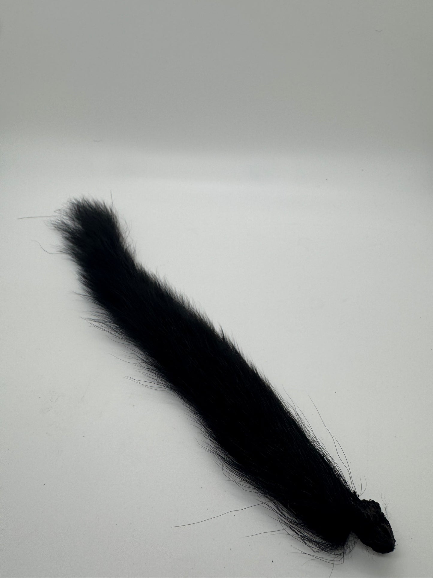 Squirrel Tail