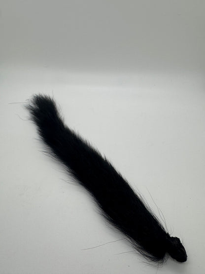 Squirrel Tail