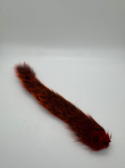 Squirrel Tail