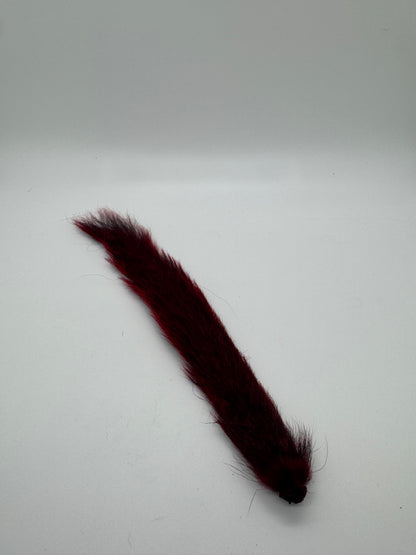 Squirrel Tail