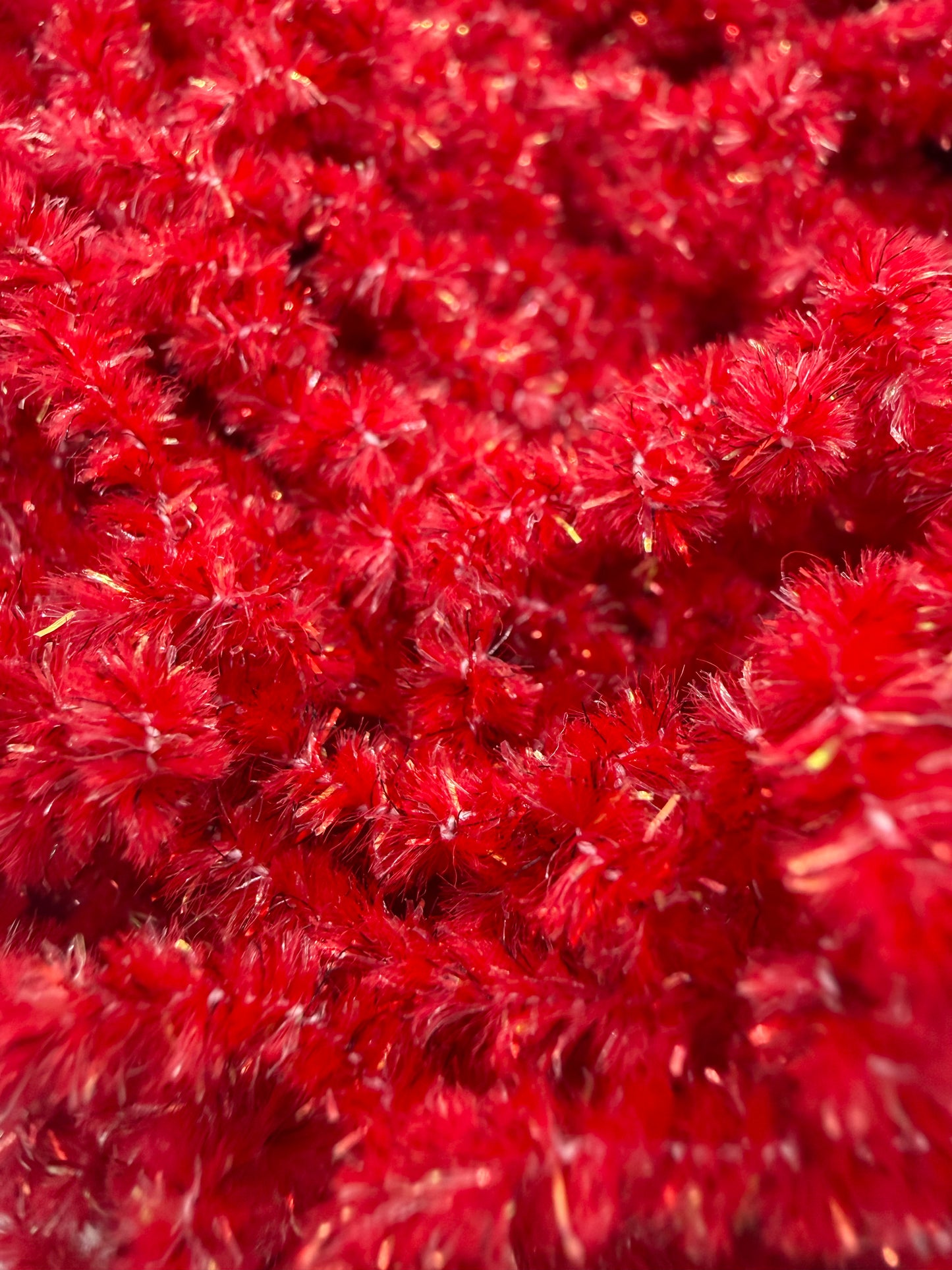 Chenille of the Month